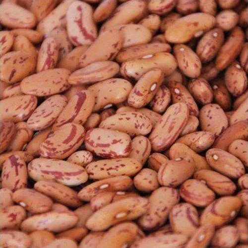 Kidney Beans (Rajma)